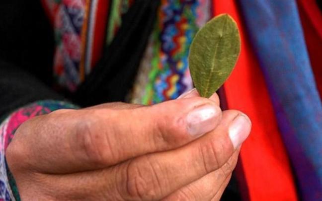 Una mujer boliviana sostiene una hoja de coca.