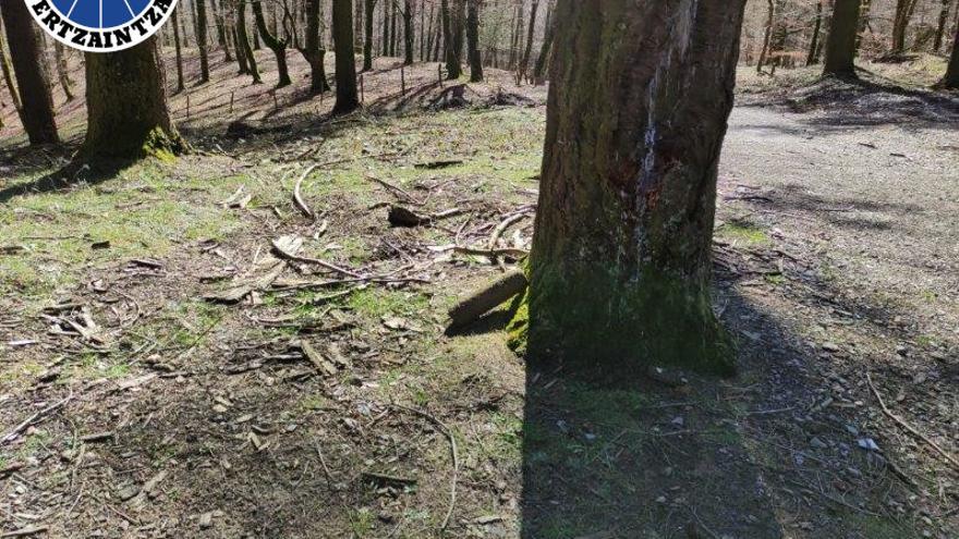 Lugar donde apareció el proyectil