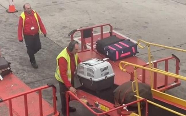 El transportín con el perro, llegando a la altura del trabajador del aeropuerto. / TikTok (@airt_j) El transportín con el perro, llegando a la altura del trabajador del aeropuerto.