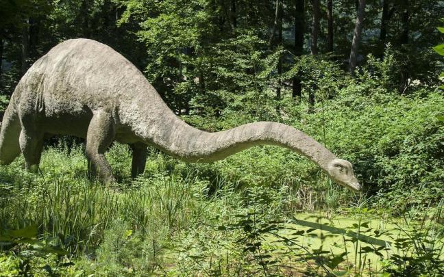 Diplodocus.
