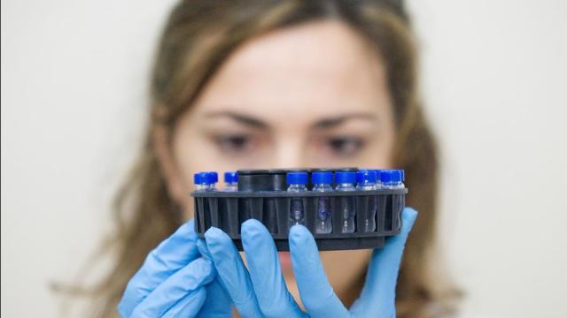 Una investigadora de Euskal Herriko Unibertsitatea (EHU) trabajando en un ensayo.