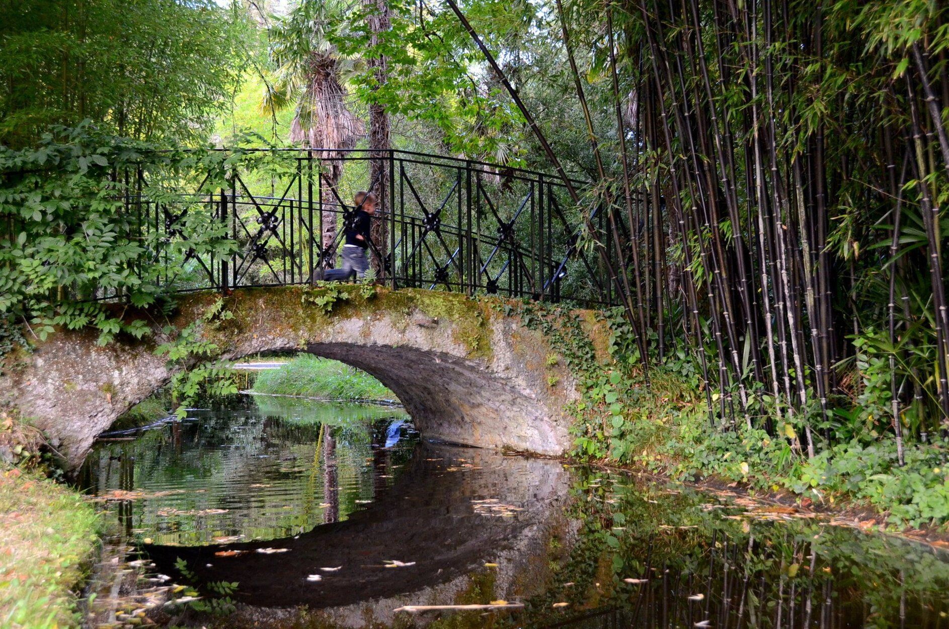 Vista del puente sobre el estanque del Parque Natural del Señorío de Bertiz.
