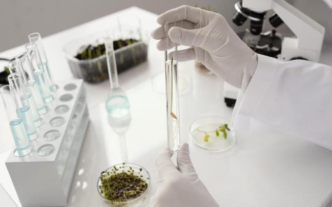 Manipulación de flores de cannabis con fines terapéuticos