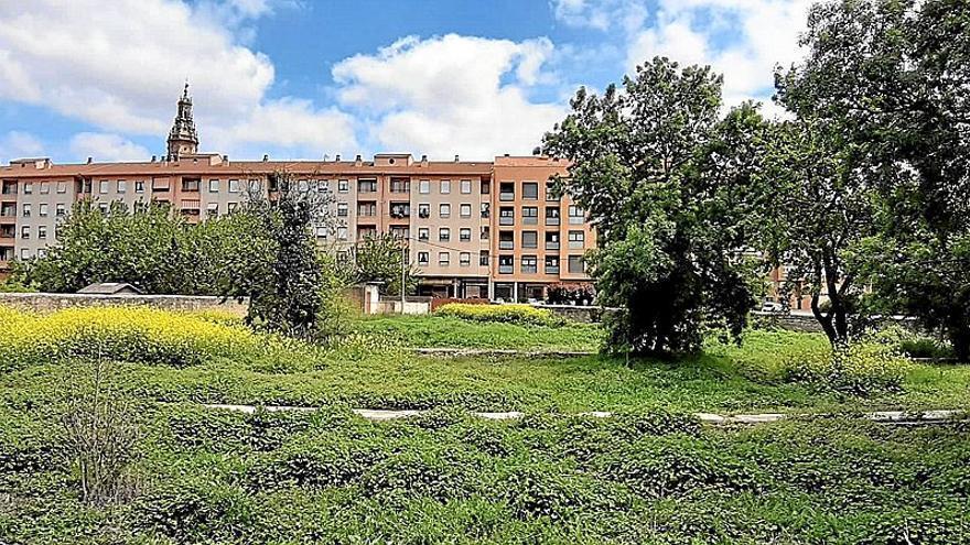 Área en la que se ubican los huertos sociales de Oion