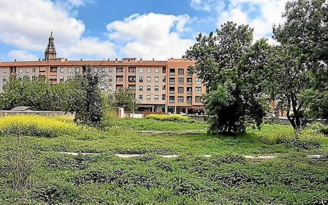 Área en la que se ubican los huertos sociales de Oion