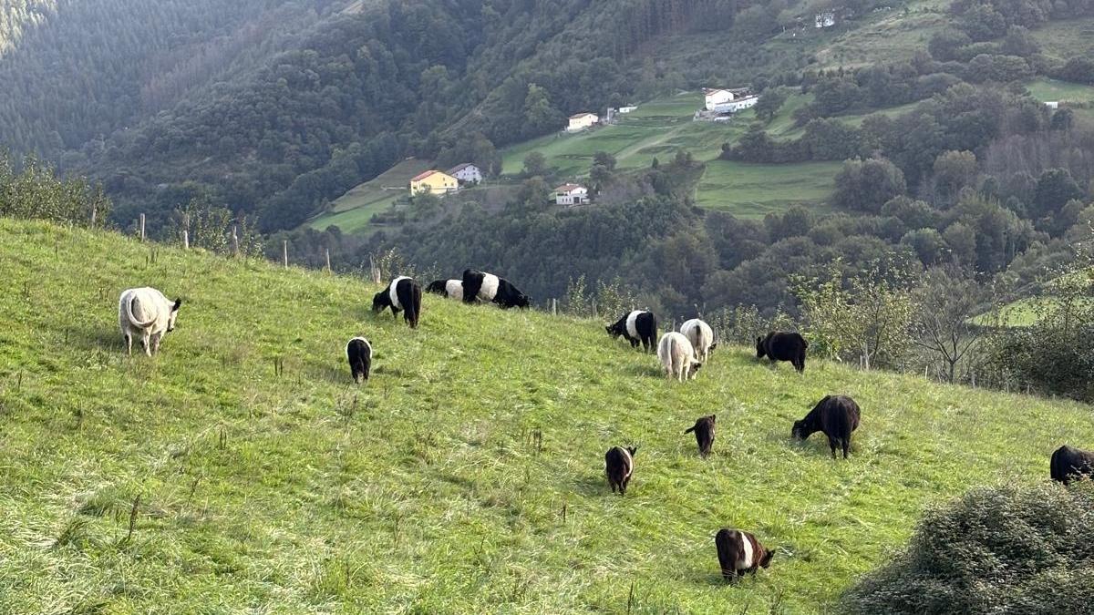 Izaro Zubiria Ueta Etxaldeko proiektuaren burua da.