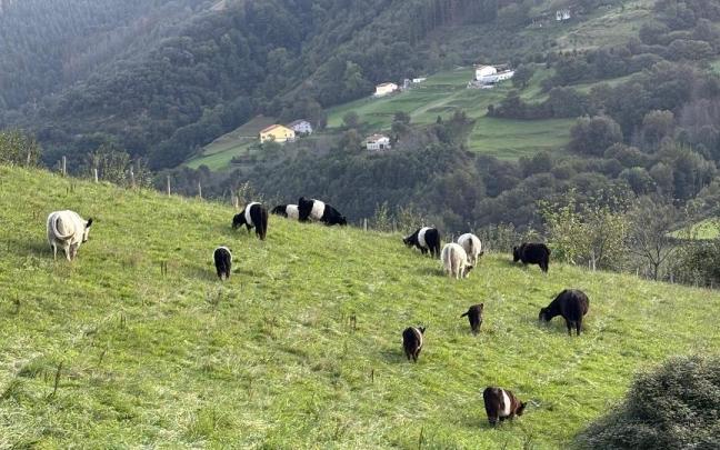 Izaro Zubiria Ueta Etxaldeko proiektuaren burua da.