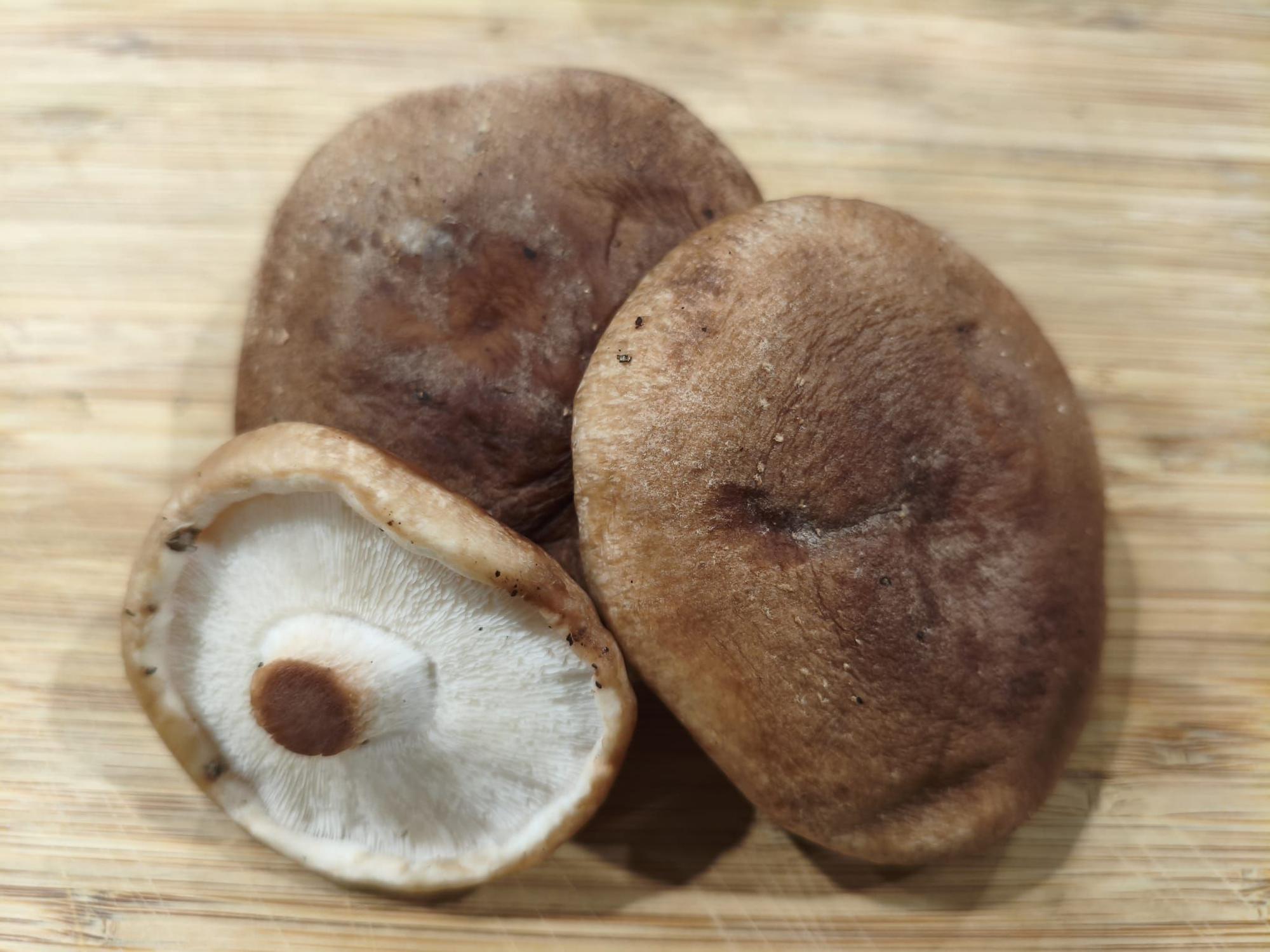 Seta shiitake.