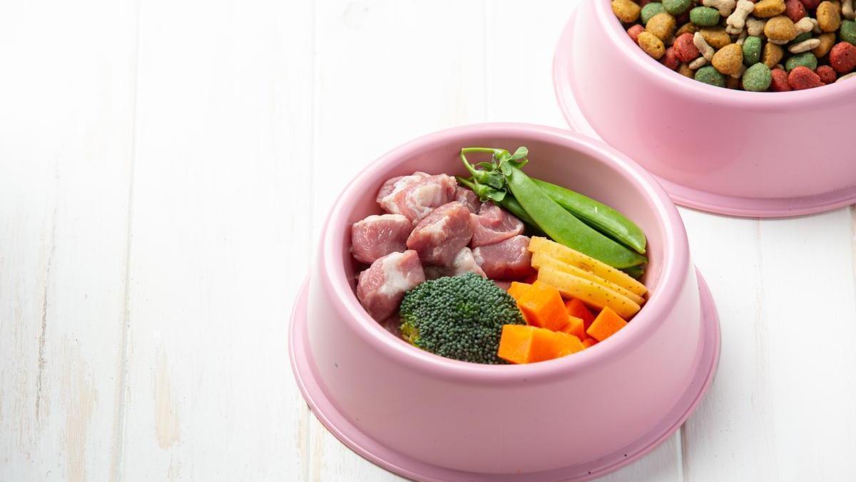 Cuenco de un perro con verduras y carne.