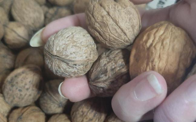 Euskadi solo produce el 20% de las nueces que consume