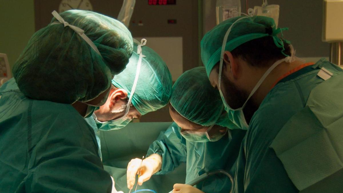 Profesionales de Osakidetza practicando un trasplante.