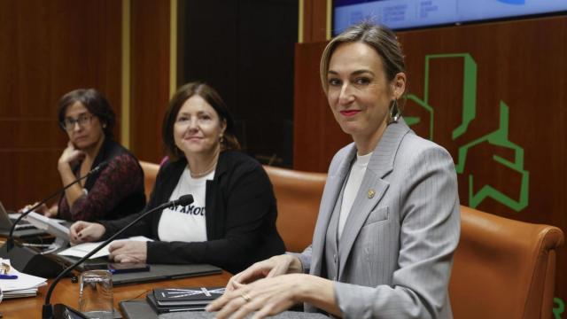 La consejera de Autogobierno, Maria Ubarretxena, este jueves en el Parlamento