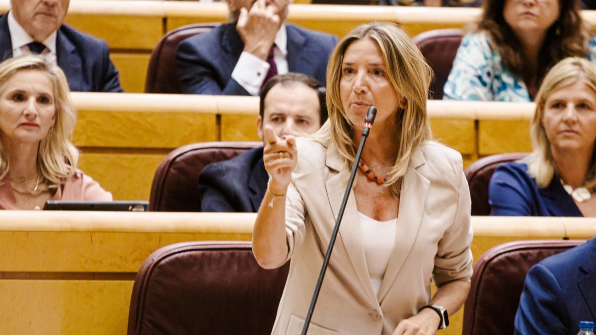 La portavoz del PP en el Senado, Alicia García