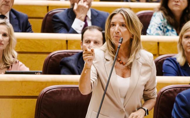 La portavoz del PP en el Senado, Alicia García