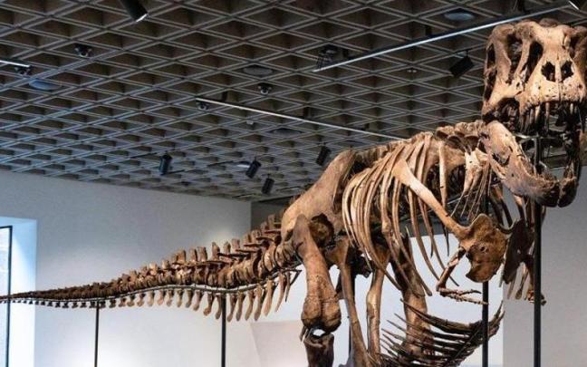 Fotografía difundida por la casa de subastas Sotheby's que muestra a personas observando un ejemplar de los esqueletos de Tyrannosaurus Rex más grandes,