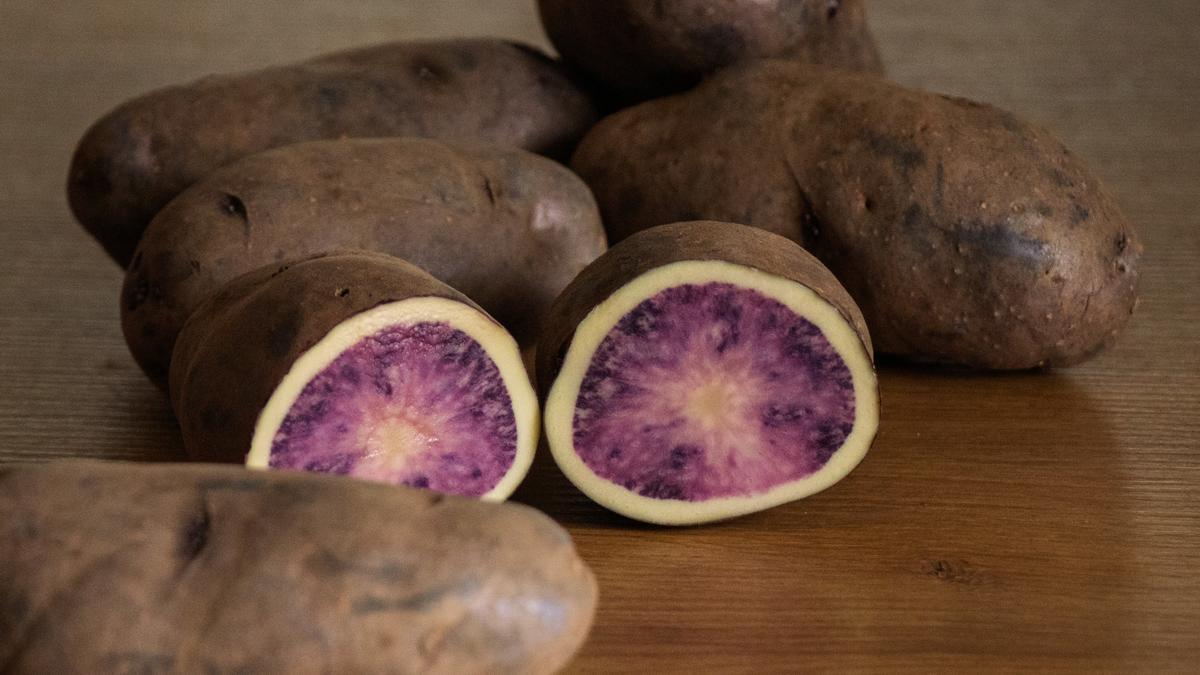 'Atsegiñe', una nueva variedad de patata de carne bicolor.