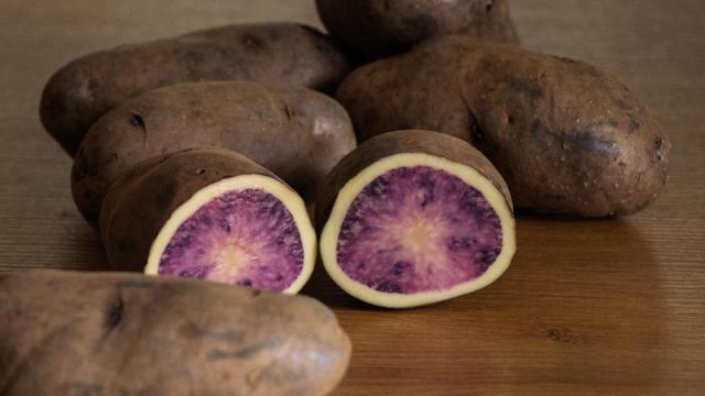 'Atsegiñe', una nueva variedad de patata de carne bicolor.