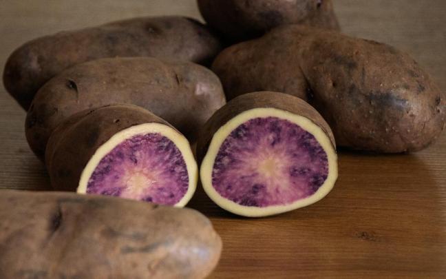 'Atsegiñe', una nueva variedad de patata de carne bicolor.