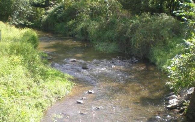 El calentamiento se produjo en el 87% de los ríos analizados.