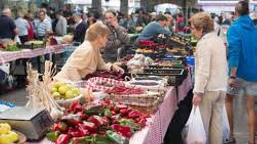 El caracol será eje de la Feria Especial de este sábado.