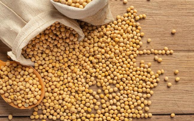 Alimento que ayuda a absorber el colesterol malo.