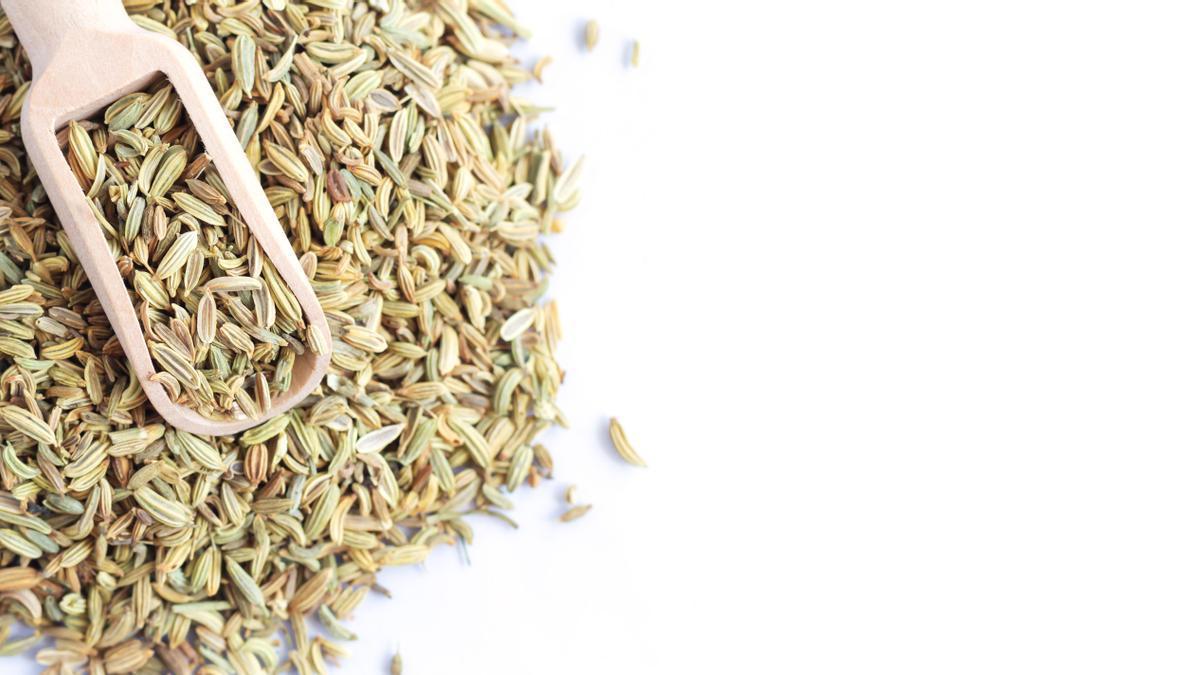 Hinojo, un remedio natural contra la hinchazón y los gases.