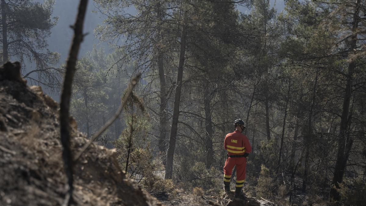 Un efectivo de la UME durante los trabajos de incendio de Villanueva de Viver.