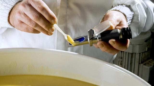 Eusko Jaurlaritzak 17 milioi eurotik gorako laguntzak eman ditu Lehiatu programaren bidez, Euskadiko elikagaien eta nekazaritzako eraldaketan inbertsioa bultzatzeko.