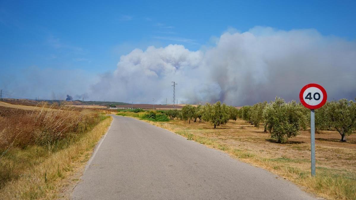 El fuego de Niebla (Huelva) recorre ya 8.000 hectáreas y mantiene a más de 400 personas desalojadas.
