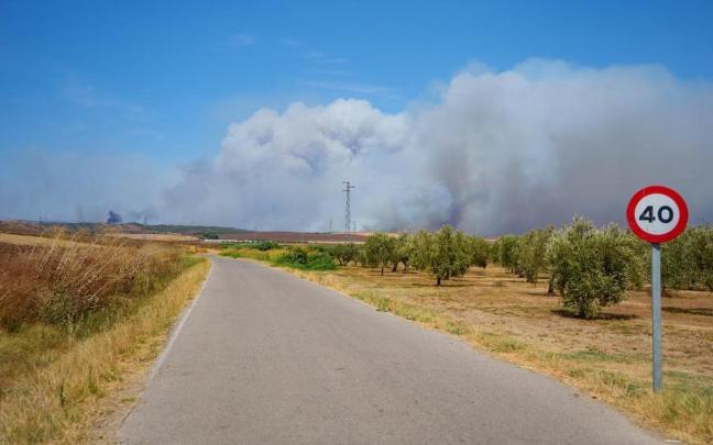 El fuego de Niebla (Huelva) recorre ya 8.000 hectáreas y mantiene a más de 400 personas desalojadas.