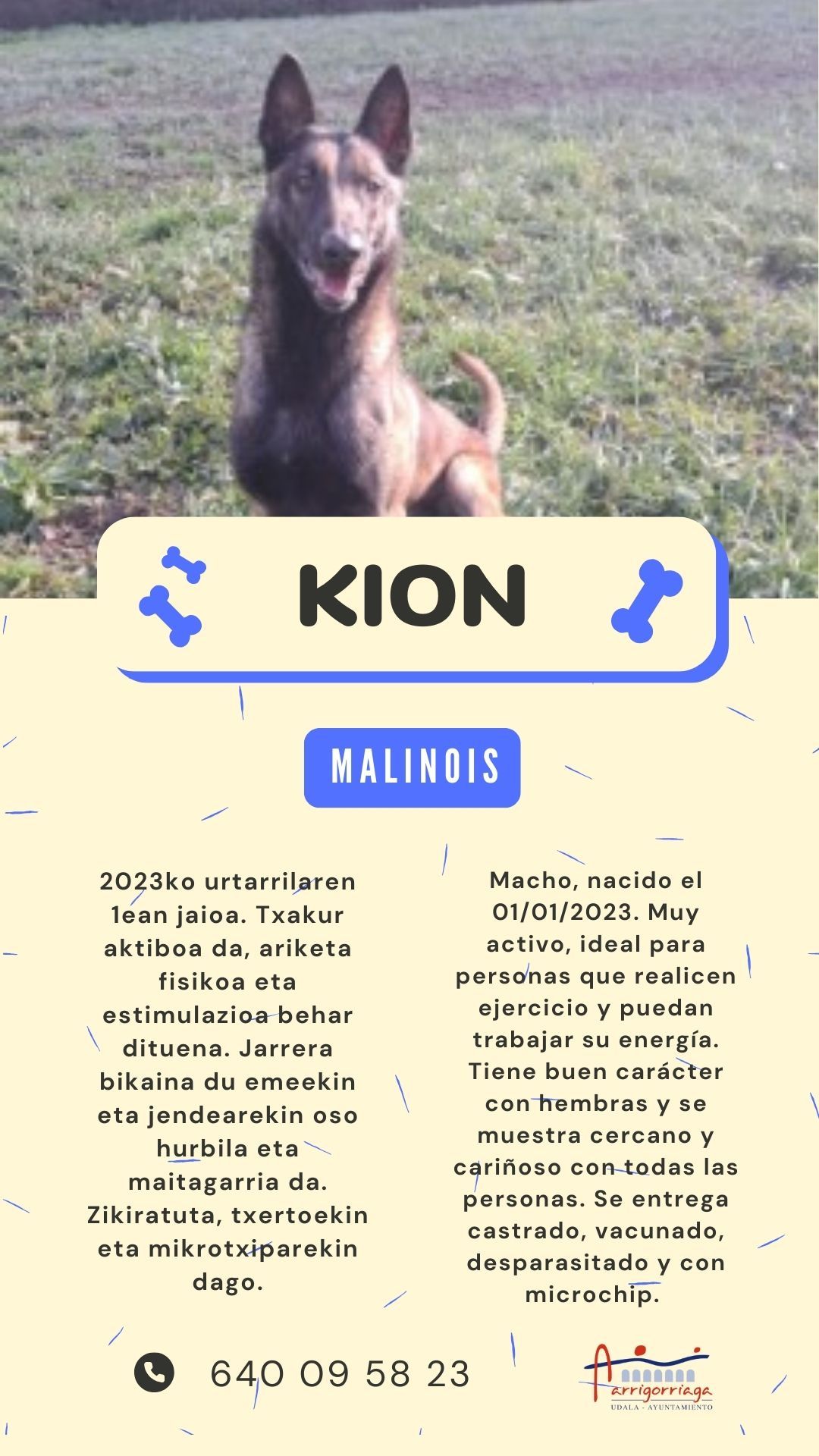Ficha técnica de Kion