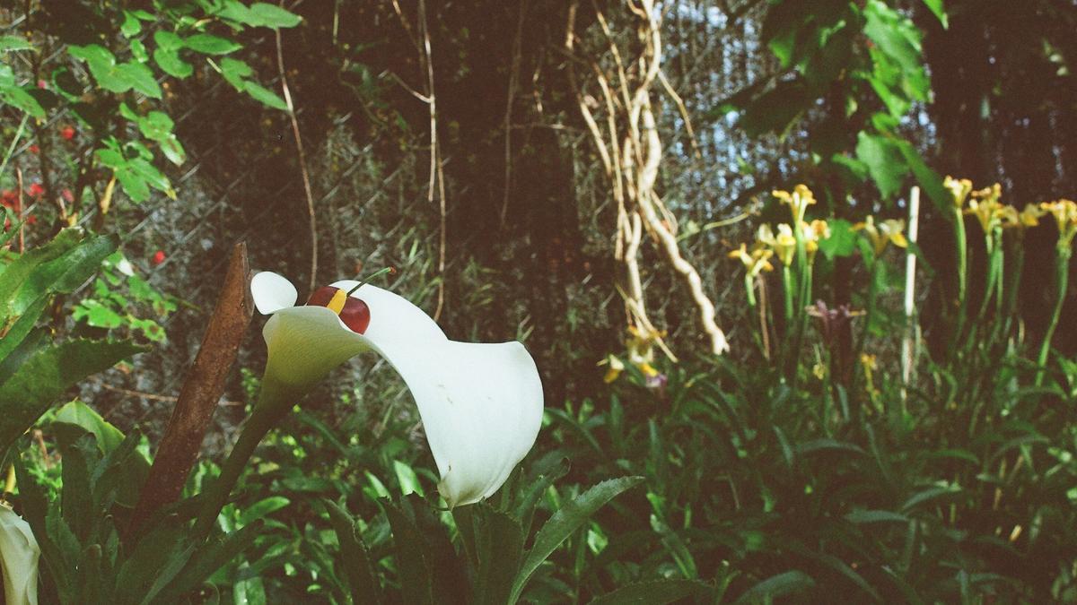 '4.4. Udaberria', parte de la exposición 'Gereziondoa' del artista I. Z.