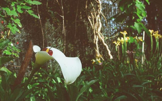 '4.4. Udaberria', parte de la exposición 'Gereziondoa' del artista I. Z.