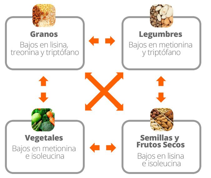 Combinación de vegetales para lograr la proteína completa.