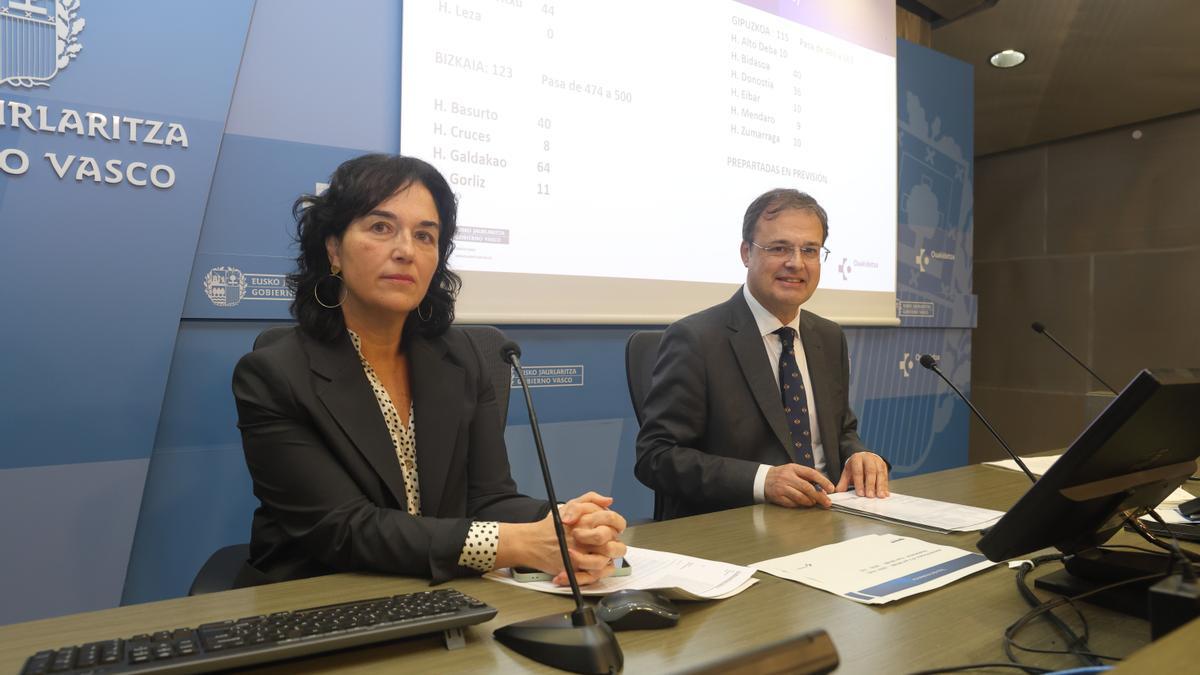 El consejero de Salud y la directora de Asistencia Sanitaria, Maite Martínez de Albéniz han ofrecido esta misma mañana los datos de la campaña de gripe