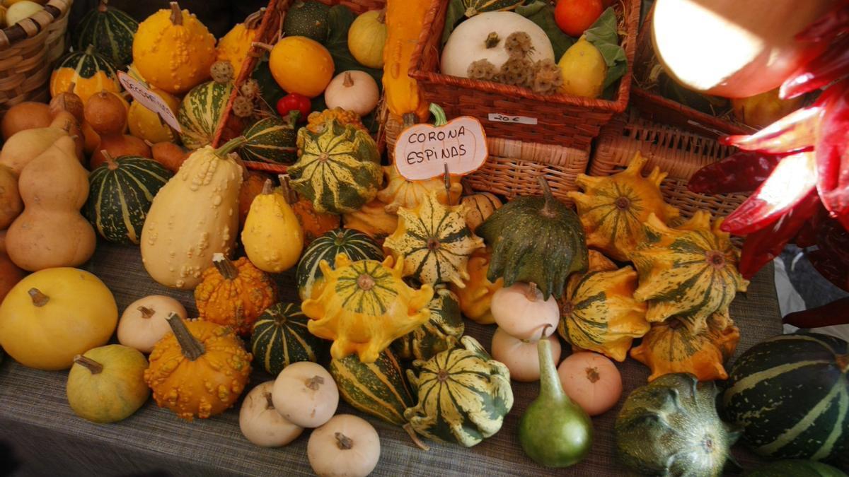 Diferentes clases de calabazas en un puesto de mercado.