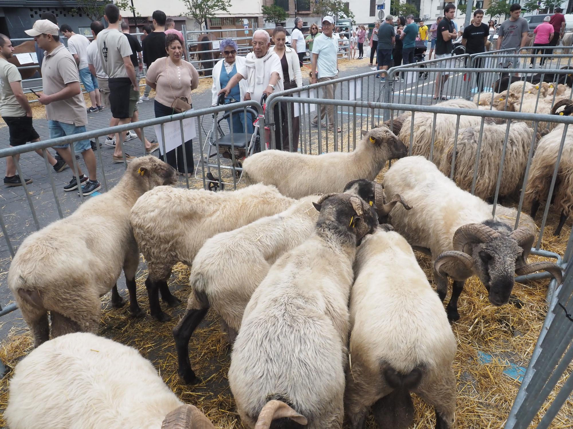 La Feria Especial de Trinidades ha despertado mucha expectación en Elgoibar