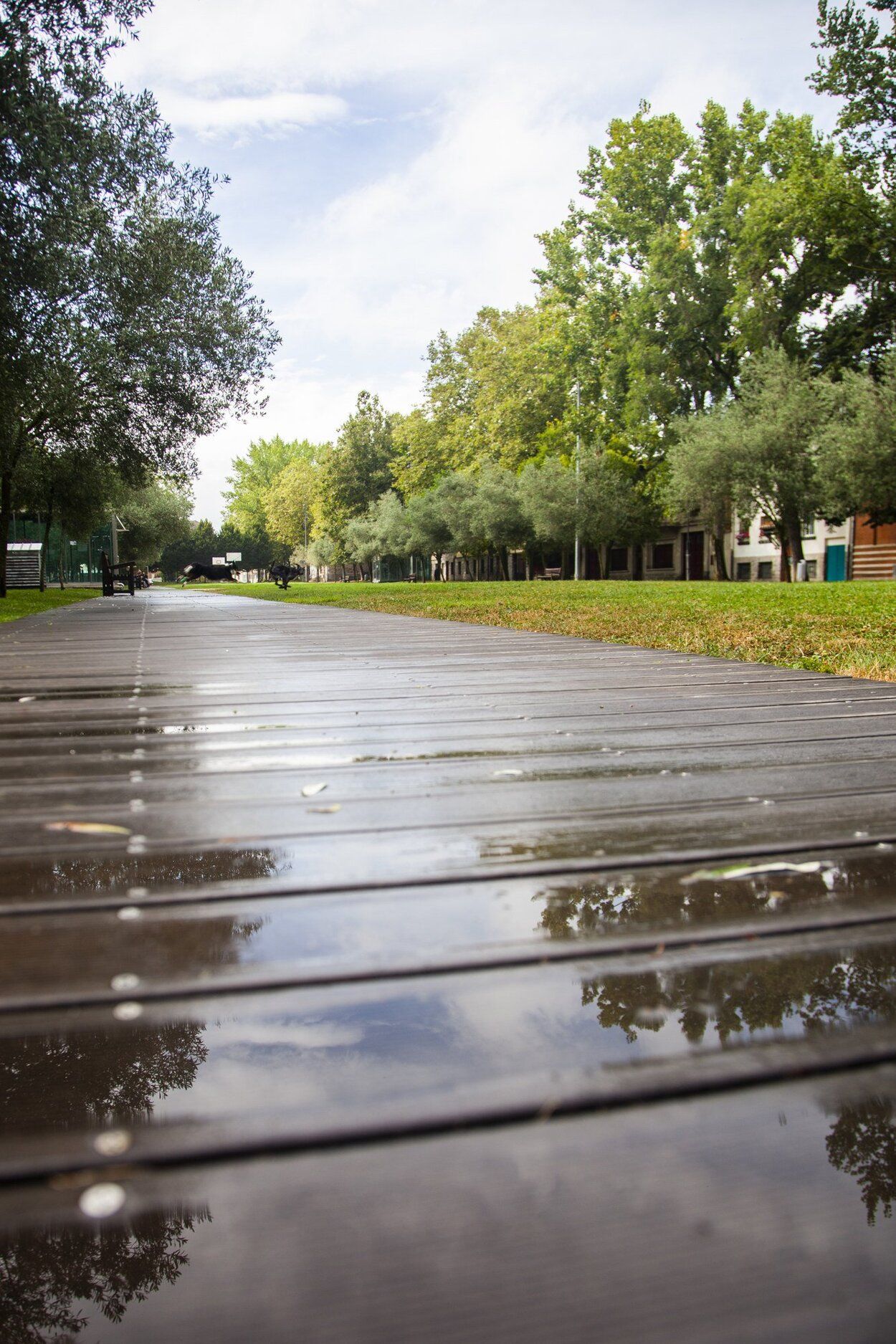 Un parque del barrio de Judimendi.
