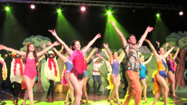 Una escena de una pasada edición del concierto de Carnaval.