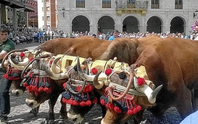 Idi dema erakustaldia, San Isidro egunean.