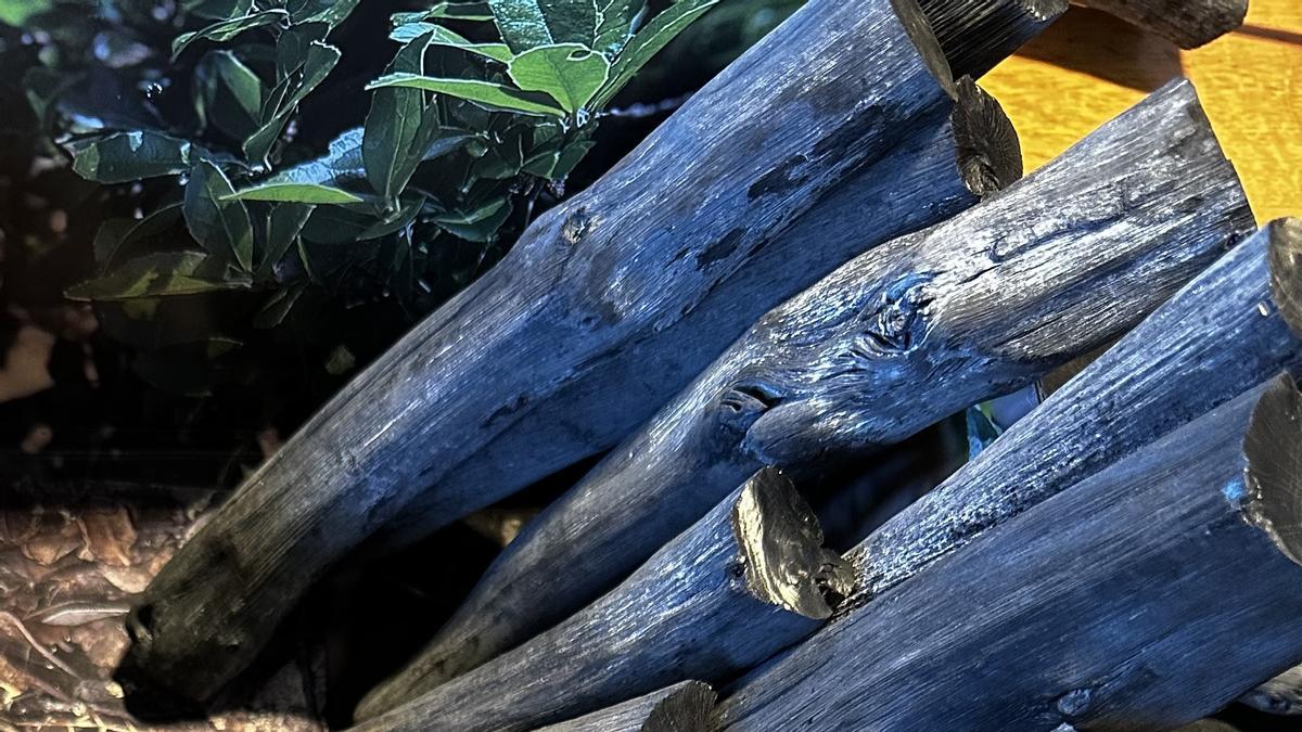 El carbón Binchotan parte del roble.