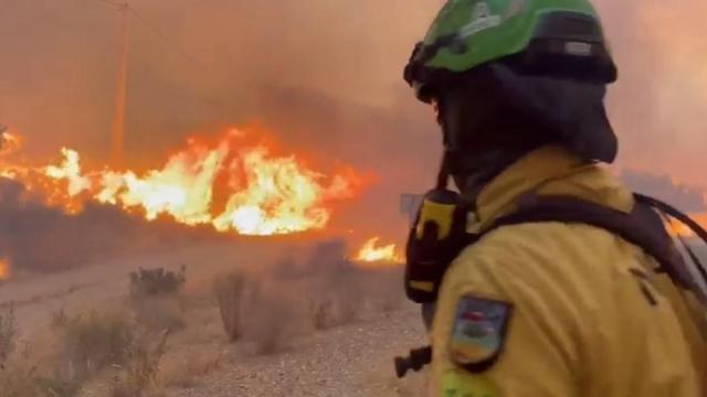 Un bombero forestal combate el incendio declarado en Los Gallardos (Almería).
