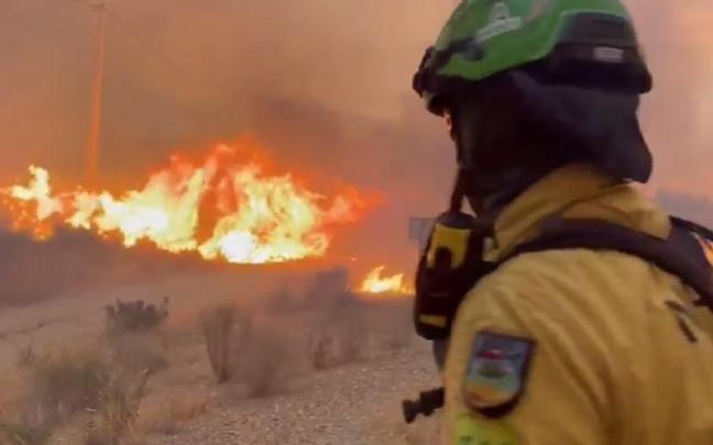 Un bombero forestal combate el incendio declarado en Los Gallardos (Almería).