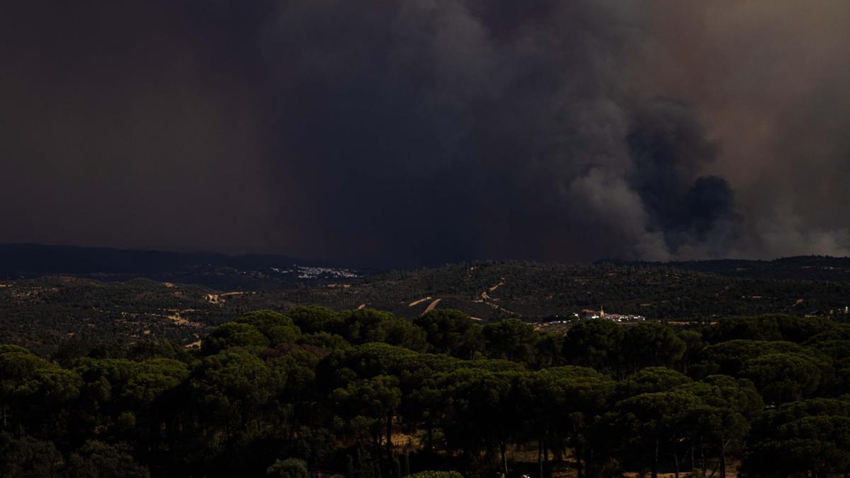 Imagen de una zona afectada por el incendio forestal de Niebla (Huelva)
