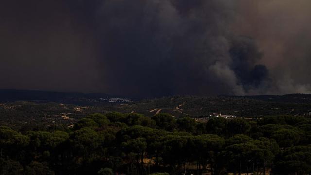 Imagen de una zona afectada por el incendio forestal de Niebla (Huelva)