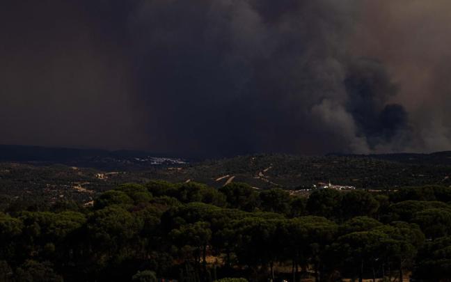 Imagen de una zona afectada por el incendio forestal de Niebla (Huelva)