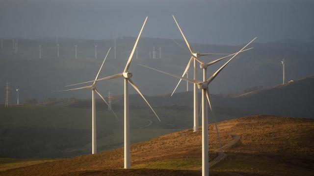 Un parque eólico