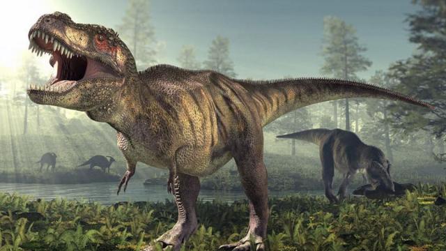 Imagen de un T. Rex