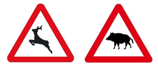 Señales que previenen de “animales en libertad” P-24 y P-24ª (nueva).
