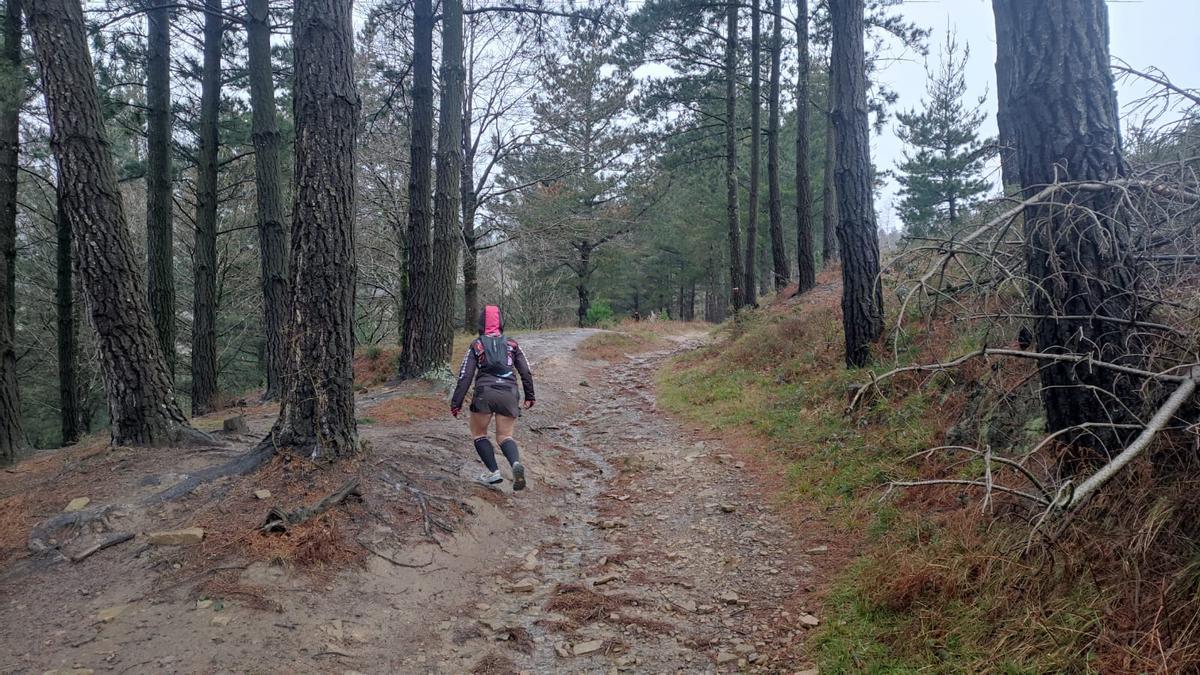 Atravesando un pequeño bosquecillo
